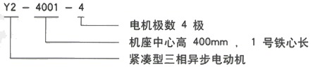 YR系列(H355-1000)高壓三相異步電機(jī)西安西瑪電機(jī)型號(hào)說(shuō)明