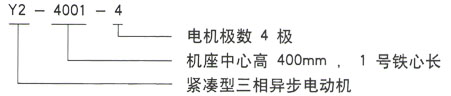 泰富西瑪Y系列三相異步電機(jī)型號(hào)說(shuō)明